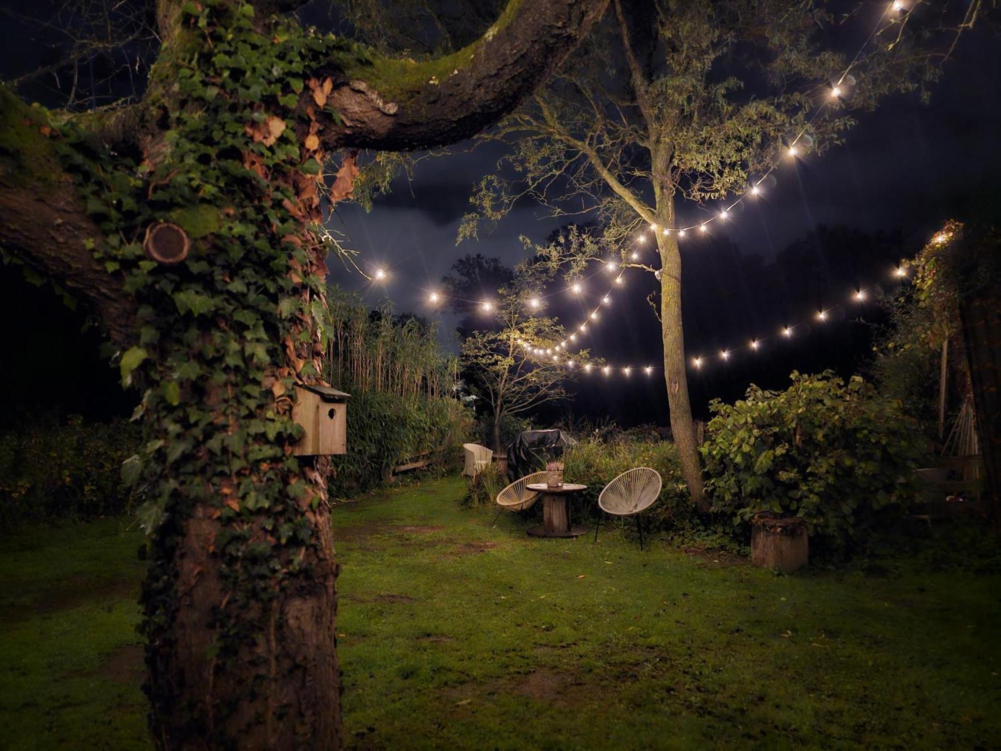 Отель Weberhof-Muenster Glamping Экстерьер фото